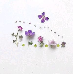 Meet your Posher, Amira